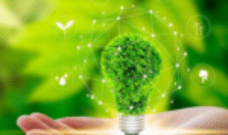 Environmental Advisory